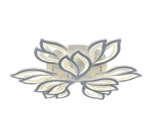 8004/6+3 WHT (SMART)